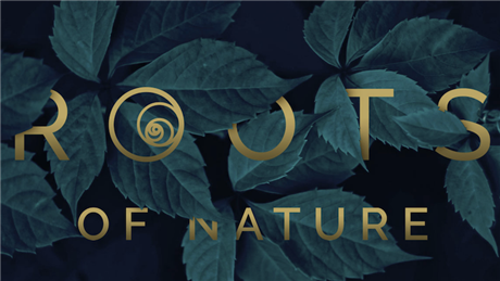 Banner Picture